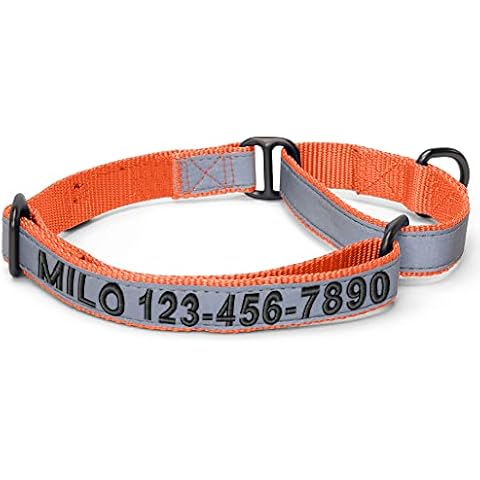 Pawtitas Customized Martingale Dog Collar Reflective Reflective Dog Collar Embroidered Personalized Name Phone Number Adjustable for Puppies Small Medium Large Size Dogs Large Orange Cover