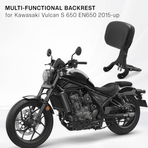 SFriding Multifunction Adjustable Sissy Bar