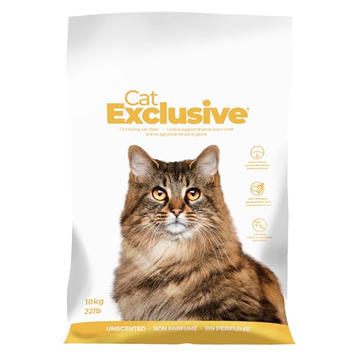 10 Must-Have Pet Products on Amazon for Your Furry Friend 12 Intersand Cat Exclusive Clumping Cat Litter Unscented, Scoopable,...