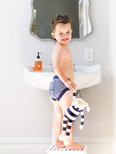 Image of Under the Nile Organic Cotton Sea Breeze Ombre Stripe Potty Training Pants, 12-24 Months