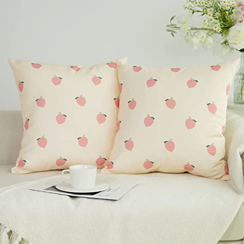 Juego de 2 fundas de almohada decorativas de melocotón para decoración del hogar de granja cuadrada linda funda de cojín de verano para sofá, dormitorio, sala de estar, 40 x 40 cm Cover