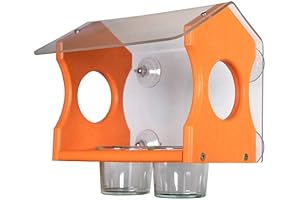 JCs Wildlife Window Oriole Feeder: A Sweet Treat for Colorful Visitors