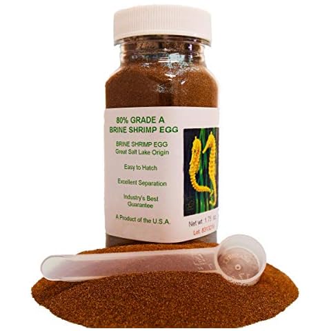 Grade A Brine Shrimp Eggs, 1.75 oz Cover