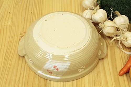 Olla de barro picota intenso tradicional No 7 de importación de Japón 6