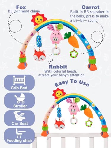 Image of Pau1Hami1ton Baby Stroller Arch Toys, Car Seat Toys,Baby Gifts.S-19(Rabbit)