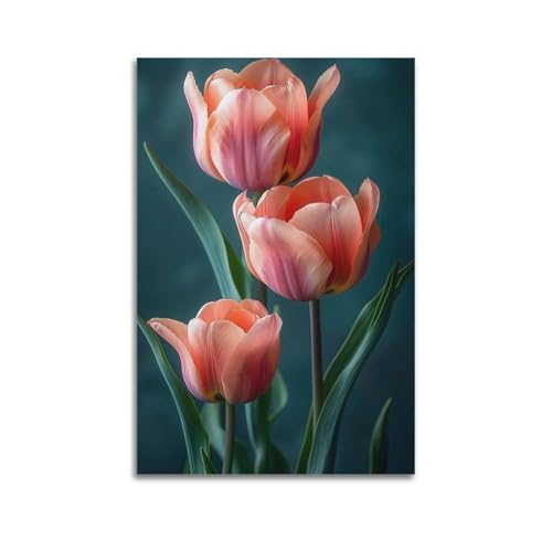 Poster trois tulipes roses dégradées pour une atmosphère douce et apaisante