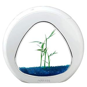 Nobleza – Acuario pecera de diseño Moderno con Ventana de Cristal y luz LED, Color Blanco. Capacidad de 4L