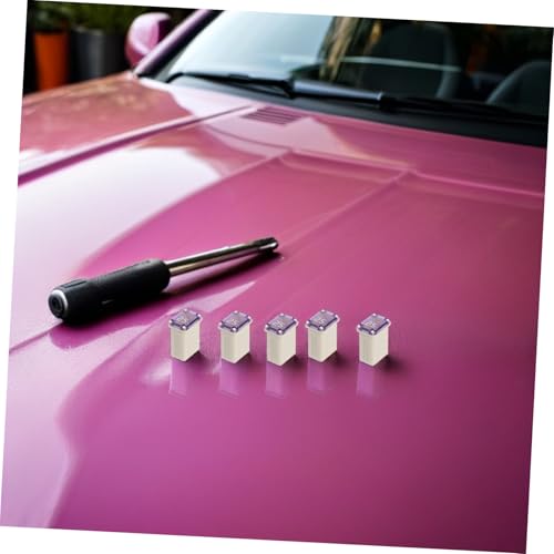 Fusibles para coche compactos 10 piezas protección de circuitos 6