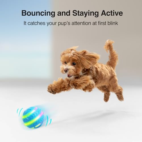ALL FOR PAWS Interaktiver LED Hundeball für Langeweile-Bewegung aktivierte bewegliche Hundebälle Spielzeug leuchtet auf USB wiederaufladbar für Tag/Nacht Spiel