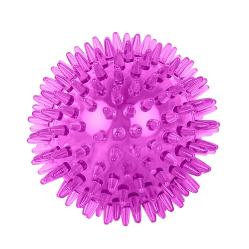ZITIXO ̂{[ ފނ{[ mߋ  VRS e͐ ϋv XgX ^s PpiS/M/L 6 ނ̐Fj (S,p[v)