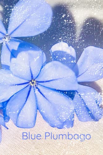 Blue Plumbago: Beautiful Flower Natural Photography Art | Perfect For Nature Enthusiasts | 119-Paged Lined Paperback Notebook | For Organization, ... Writing | Independent Cover Art Design