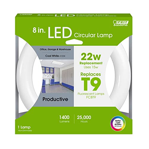 Bulb LED CIRC 8" 15W