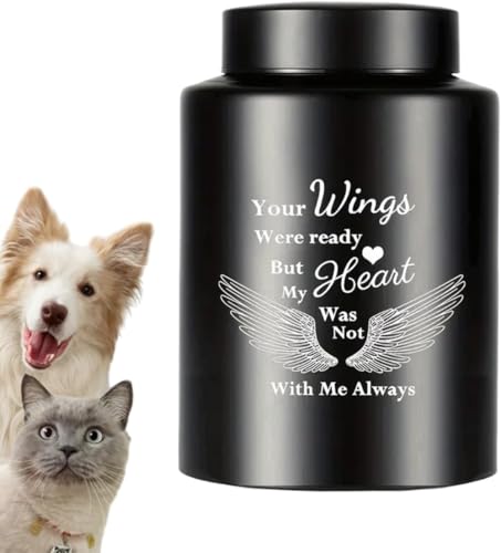 uuClub pD | ^ybgD XeX - Oz[fBXvCɍœKȌ̈DLOi (ubN)