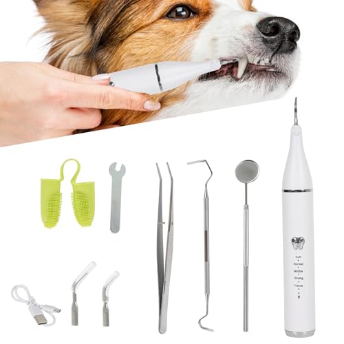 Zahnreinigungsset Ultraschall für Hund, Hundezahnreinigungsset mit LED-Licht, Zahnsteinentferner Ultraschall Zahnreiniger für Haustiere zum Entfernen von Zahnstein & Zahnbelag, 5 Reinigungsmodi