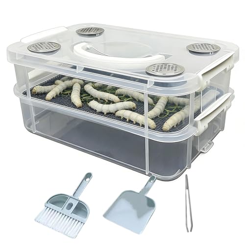 Élevage de vers de farine sans odeur boîte transparente double - 2