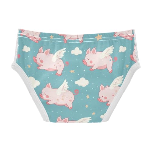 Wusikd Cute Flying Pig Boys' Underwear Cotton Cute Wings Stars Boys Briefs Soft Toddler Underwear 2T2