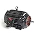 Marathon Electric Y552 Vector Drive Motor - 3 ph, 20 hp, 1800 rpm, 230/460 V, 256TC Frame, TENV (Totally Enclosed Non-Ventilated) Enclosure, 60 Hz