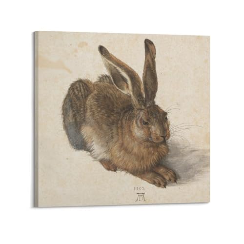 Impression sur toile Young Hare Albrecht Durer déco salon 50x50