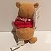 WINNIE THE POOH Disney Bean Bag Plush - Picnic Pooh (8 inch)