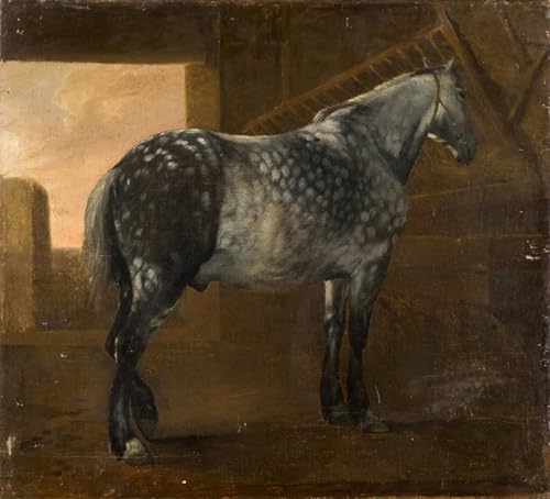 Tableau moderne animal gris d'Aelbert Cuyp décor salon poster sur toile 60x90cm