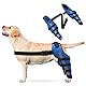 PETCUTE 2 Stück Kniebandage Hund mit Reflexstreifen – Verstellbare Beinstütze bei ACL- & Bandverletzungen, Starke Stabilisierung & Hinterbein-Schutz für schnelle Genesung-S(Blau)