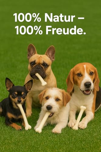 Premium Kauknochen für alle Hunde – Kalbshaut Kausnack zur Zahnpflege & Beschäftigung – Natürlich & fettarm (2XL/38,1-40,64, Bacon)