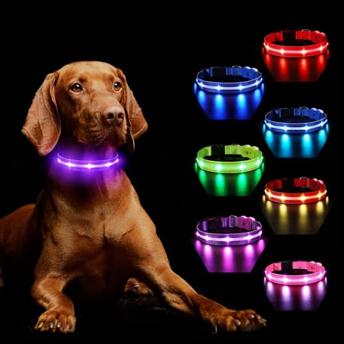 MASBRILL Hundehalsband Leuchtend Aufladbar, Hund 7 RGB Farbwechsel mit 8 Leuchtmodi, Verstellbare LED HundeHalsband Wasserdicht für Kleine Mittlere Große Hunde Leuchtendes Halsband, Lila S