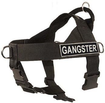 DT Universal No Pull Dog Harness, Gangster, Black, Small, Fits Girth Size: 24-Inch to 27-Inch