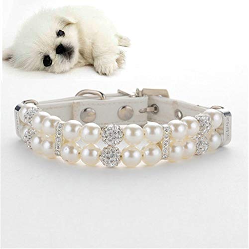 Crea Un Collare Per Cani In Pelle Incisa Su Misura | Guida Al Fai Da Te | Dremel - Foto 11