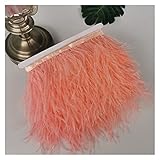 ¡Estas plumas de avestruz agregan color, decoración, artesanía, sombreros o arreglos florales, los límites de su imaginación!