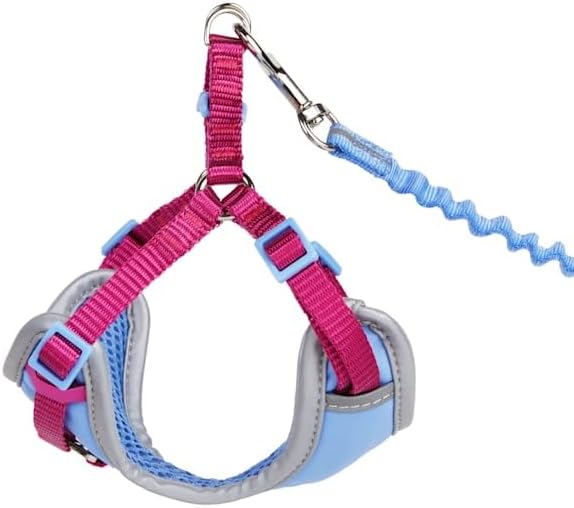YOULY by Petco Reflective Utility Cat & Large Cat Harness & Leash Set Purple & Pink Small/Medium
