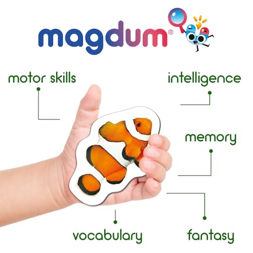 30 Magnets for Toddlers - Sea Realistic Photo Animals