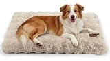 BingoPaw Cama para Perro Grande 90x60x10cm Camas Perros Grandes Colchoneta Lavable a Máquina, Beige
