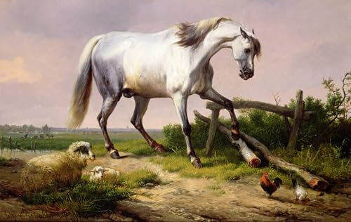 Impression d'affiches un étalon gris Eugene Verboeckhoven toile 60x90cm