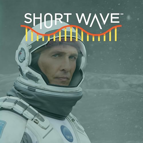 『'Interstellar': Time Dilation And Wormholes Explained』のカバーアート