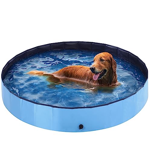 Find The Best Hard Plastic Kiddie Pool Reviews & Comparison Katynel