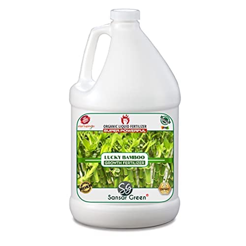 Sansar Green® Lucky Bamboo Growth Liquid Fertilizer, Premium Essential Super Powerful Liquid Fertilizer for Lucky Bamboo with Growth Nutrients and Charged Micro-Organism (500 ml)