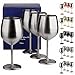 ARORA Stainless Steel Wine Glass 18oz - Set of 4 Matte Silver - 3.6