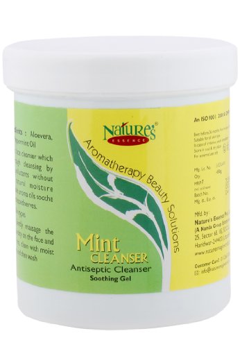 Nature's Essence Antiseptic Mint Cleanser 100g