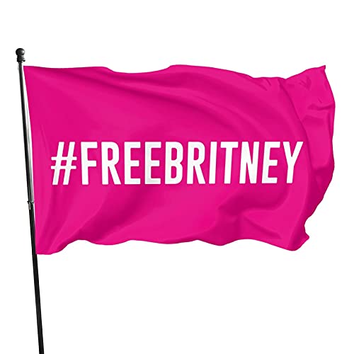 Raycity Free Britney Flag Garden Flag Outdoor Flag Home Flag House Flag Decorative Party Flag Yard Flags 3x5 Polyester