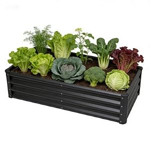 Raised Garden Bed 2 Pack 6x3x1FT, Premium Galvanized Raised Garden Bed, Large Raised Garden Beds Outdoor for Deep-Rooted Vegetables, Flowers, Green and Herbs, Black