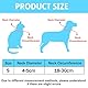 HTTDSLF Halskrause Hund Hundekragen, Schutzkragen Hund, Hundekragen Leckschutz, Aufblasbare Halskrause Hund, Halskrause Katze Leckschutz Hund, Aufblasbare Halskrause für Hunde (Blau, S)