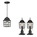 Aoceley 2-Pack Rustic Black Outdoor Pendant Dusk to Dawn Porch Light Fixture