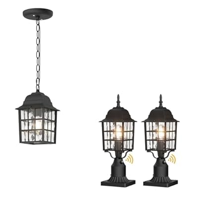 Aoceley 2-Pack Rustic Black Outdoor Pendant Dusk to Dawn Porch Light Fixture