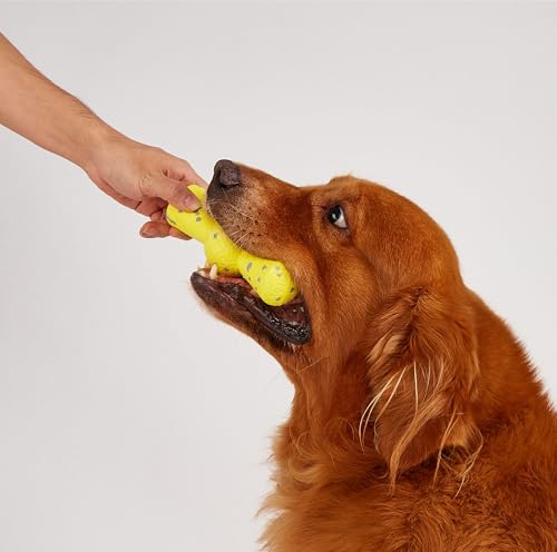 Image of BarkButler x FOFOS Super Bounce Toys Stick Dog Toy, Tough Chew Toys for Dogs, Dog Toys for Medium Dogs (0-20kgs) - Yellow