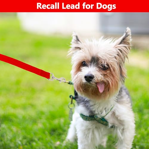 Schleppleine 10m für Hunde, Wasserdicht Hundeleine mit Handschlaufe und 360° Karabiner, Robuste Ausbildungsleine Schleppleine für Mittlere Große Kleine Hunde (Rot)