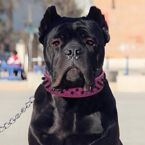 FUNAT Haustier Nietenhalsband, Großes Hundepunk Stil Nietenhalsband, Anti beißen Nagel Leder Hundehalsband, Hundehalsband mit Nieten Geeignet für mittlere bis große Hunde