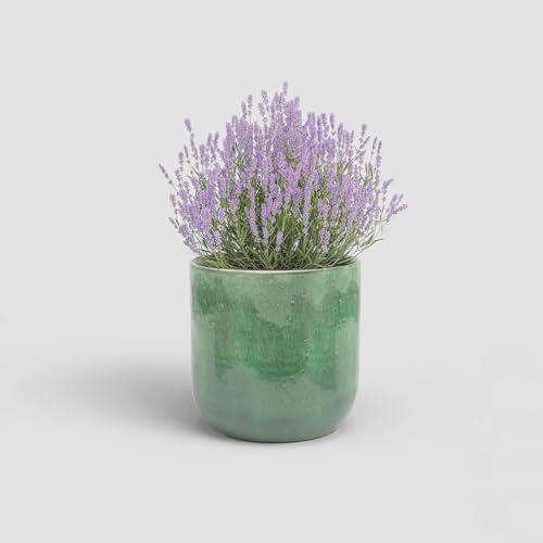 Artevasi Jupiter, Keramischer Blumentopf mit glasiertem Finish, 39cm, Meeresgrün