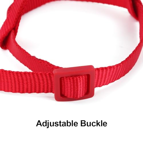 Image of Parrot Harness Leash, Anti Bite Bird Training Leash Adjustable Parrot Flying Rope for Parrot Budgerigar Lovebird Cockatiel