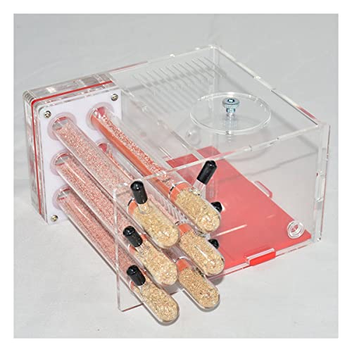 Nid Fourmis 6 Tubes Ferme Fourmis Tube À Essai Double Nid Fourmilière en Acrylique Insectes Reproduction Boîte Maison Fourmis avec Zone Active Habitat...